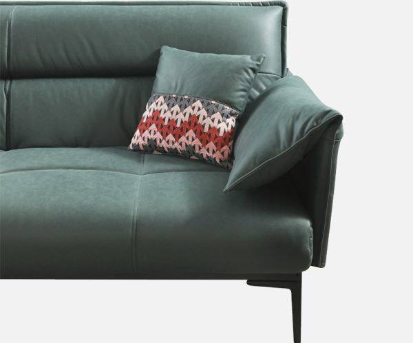 Elegant Luxury Sofa Bed